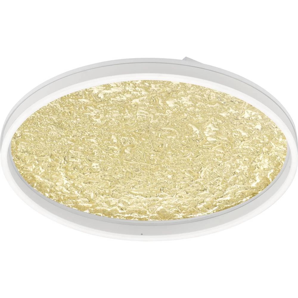 WOFI Bali 11241 LED stropna svjetiljka bijela 50 W toplo bijela prigušivanje po slika