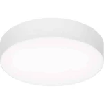 Trilux  7131900  ugrađeno kućište  Solegra WD1  1 St.