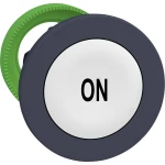 Schneider Electric ZB5FA141 prednji element za tipku plosnat, ponovno postavljiv (Ø) 30.5 mm on tamnosiva, bijela 1 St.