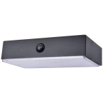 Lutec vanjska solarna zidna lampa s detektorom pokreta  FADI 6939501330   LED 5 W toplo bijela do hladno bijela crna