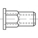 TOOLCRAFT TO-5444325 zakivna matica  M6   čelik  250 St.