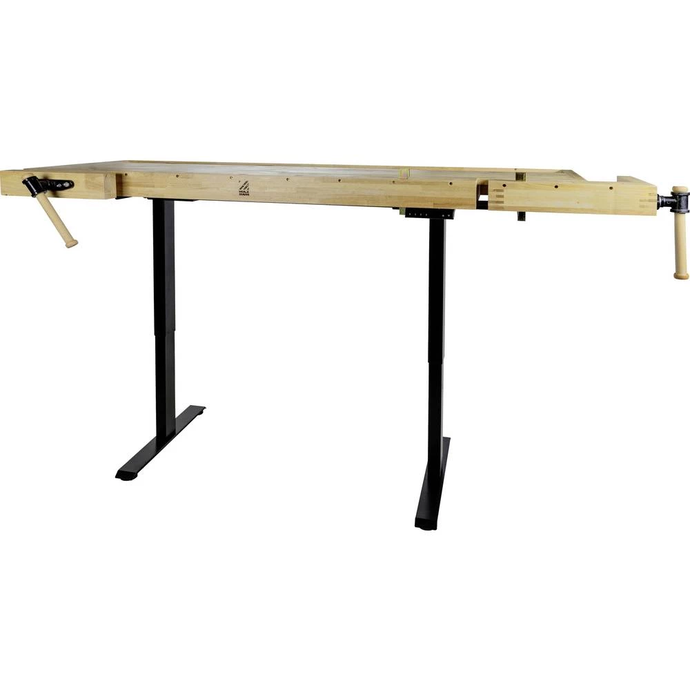 Holzmann Maschinen WB210ELIFT_230V Električni radni stol s podesivom visinom slika