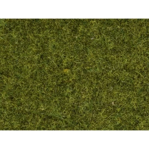 NOCH 0008361 statička trava livada livada slika