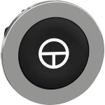 Schneider Electric ZB4FA245 prednji element za tipku plosnat, ponovno postavljiv (Ø) 30.5 mm T krom boja, crna 1 St.