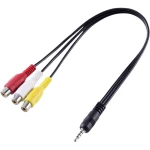 SpeaKa Professional AV Audio, Video Adapter [1x 3,5 mm banana utikač - 3x Ženski cinch konektor] Crna boja
