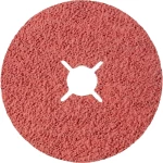 Rhodius 307095 vlaknasti disk promjer 125 mm Promjer bušotine 22.23 mm nehrđajući čelik, čelik 1 St.