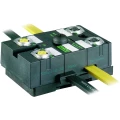 Murr Elektronik  56414 sensorska/aktivatorska kutija aktivna M12 razdjelnik s plastičnim navojem 1 St. slika