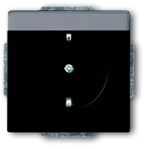 ABB 2CKA002011A3884  umetak za uređaje   IP20 crna, intenzivna crna (RAL 9005) slika