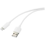 Renkforce Apple iPad/iPhone/iPod priključni kabel [1x muški konektor USB 2.0 tipa a - 1x muški konektor Apple dock lightning] 1.00 m bijela
