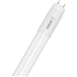 OSRAM LED Energetska učinkovitost 2021: E (A - G) G13 oblik cijevi 18 W = 36 W hladno bijela (Ø x V) 27.80 mm x 27.80 mm 1 St.