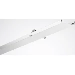 Trilux  7785900  slijepi poklopac  07650IPBL-M5polL7501  1 St.