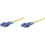 Staklena vlakna Svjetlovodi Priključni kabel [1x Muški konektor SC - 1x Muški konektor SC] 9/125 µ Singlemode OS2 3 m Inte