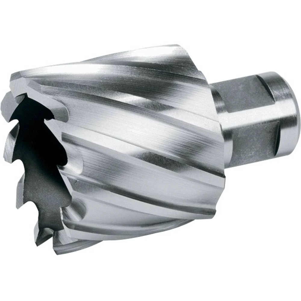 RUKO 108220E jezgreno svrdlo 20 mm 1 St. slika