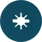 Bosch Accessories 2608619163 Ø 125 mm 1 ST