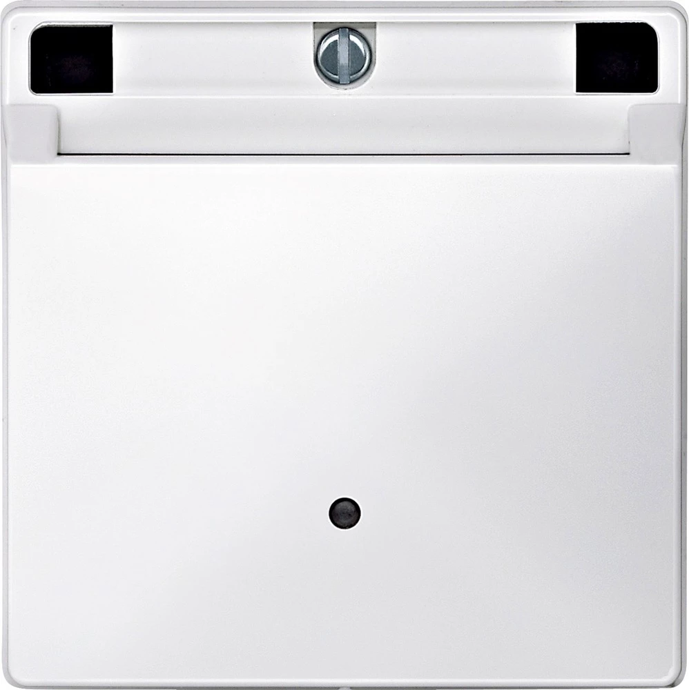 Merten Poklopac Polarno bijela 315319 slika