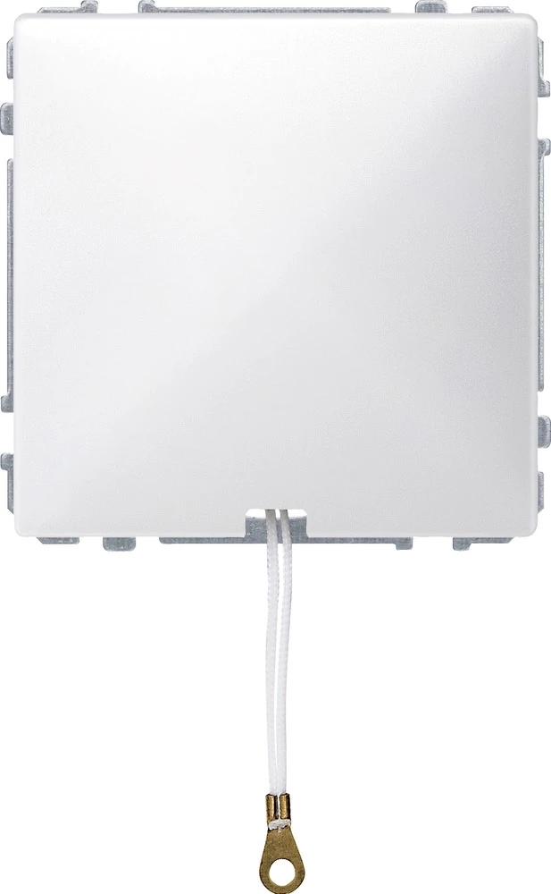 Merten Umetak Vlačni prekidač Polarno bijela 416619 slika