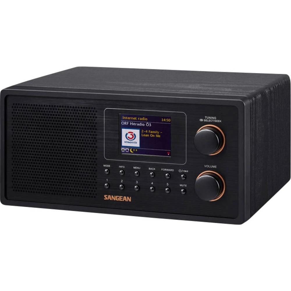 Internet Stolni radio WFR-30 AUX, DAB+, DLNA, Internetski radio , UKW Spotify Crna slika