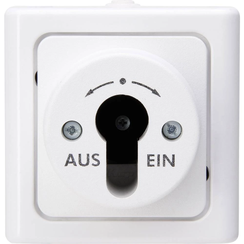 Kopp 1 komad Potpuni Prekidač na ključ BlueElectric Polarnobijela boja 561702018 slika