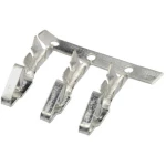 econ connect Sadržaj: 1 ST