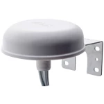 Acceltex Solutions ATS-OO-245-34-4RPTP-36 antena 4 dB 2.4 GHz, 5 GHz