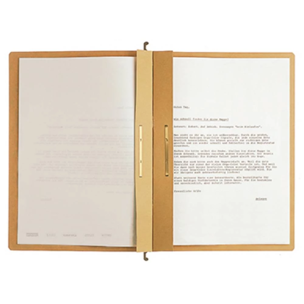 Leitz Za ured 19870000 250 gm&sup2; Prirodno-smeđa 1 ST slika