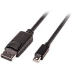 LINDY Mini-DisplayPort / DisplayPort adapterski kabel Mini DisplayPort utikač, DisplayPort utikač 3.00 m crna 41647 UL certificiran, dvostruko zaštićen, okrugli DisplayPort kabel