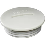 Wiska VS 29 slijepi vijak otporno na udarce   PG29  plastika svijetlosiva (RAL 7035) 100 St.