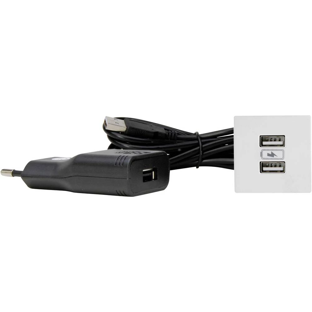 Kopp 939725014  ugradbena utičnica  s USB-om IP20 slika