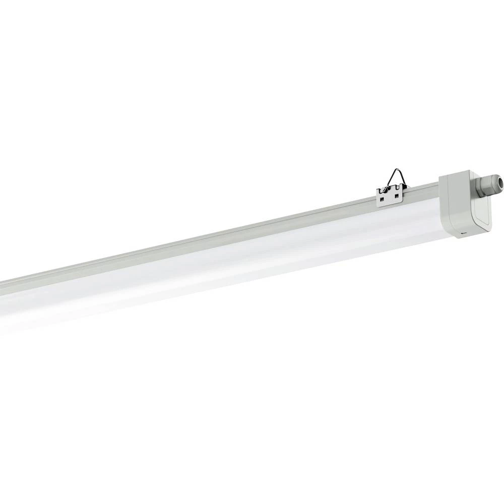 Siteco    Monsun 41    LED svjetiljka za vlažne prostorije        LED    LED fiksno ugrađena    50 W    neutralna bijela    svijetlosiva (RAL 7035) slika