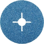 Rhodius 300315 vlaknasti disk promjer 125 mm Promjer bušotine 22.23 mm nehrđajući čelik, čelik 1 St.