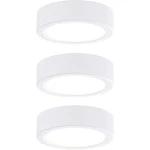 Paulmann 99989 LED sastavna rasvjeta 9 W toplo bijela bijela