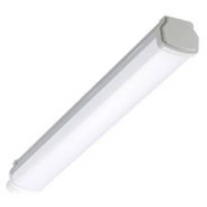 Philips Lighting    Ledinaire WT060C L600    LED svjetiljka za vlažne prostorije        LED    trajno instalirano    15 W    neutralna bijela    siva, bijela slika