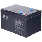 VOLTCRAFT CE12V/12Ah VC-12713990 olovni akumulator 12 V 12 Ah olovno-koprenasti (Š x V x D) 151 x 101 x 98 mm plosnati priključak 6.35 mm bez održavanja