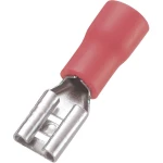 Plosnate natične stupice Širina utikača: 4.8 mm Debljina utikača: 0.5 mm 180 ° Izolirani dio Crvena TRU COMPONENTS 745122 100 ST