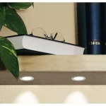 Paulmann 93586  LED ugradna svjetiljka      željezna