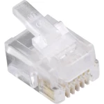 BEL Stewart Connectors 940SP3066R 940SP3066R ravni muški konektor Broj pola: 6P6C stakleno prozirna 1 St.