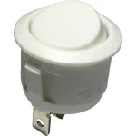 Klecni prekidač 250 V/AC 6 A 1 x uklop/uklop R13-112C W/W bez povrata 1 kom.