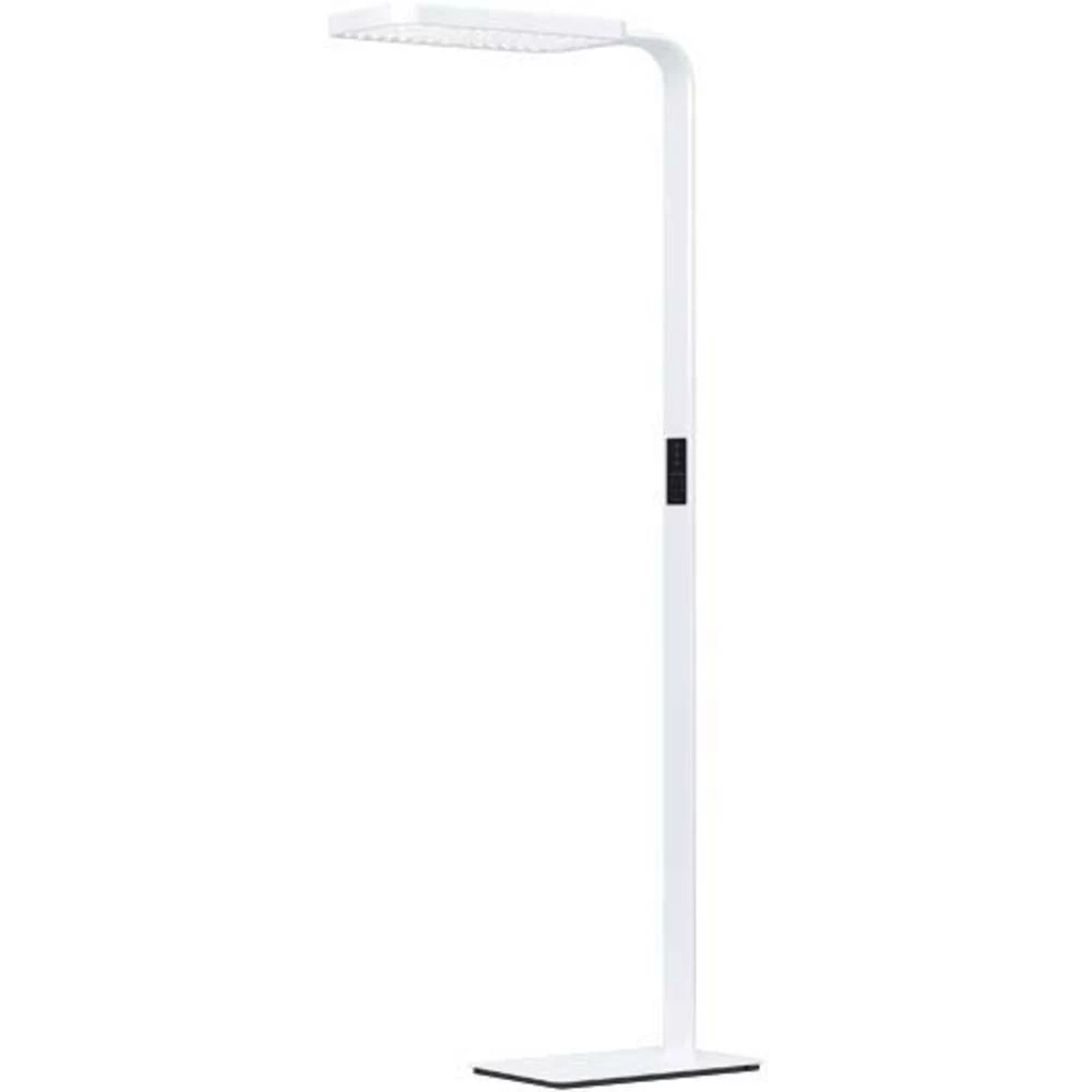 LED podna svjetiljka sa senzorom pokreta 110 W Toplo-bijela, Neutralno-bijela, Dnevno svjetlo-bijela ESYLUX FLOPRA01 EV10401008 slika