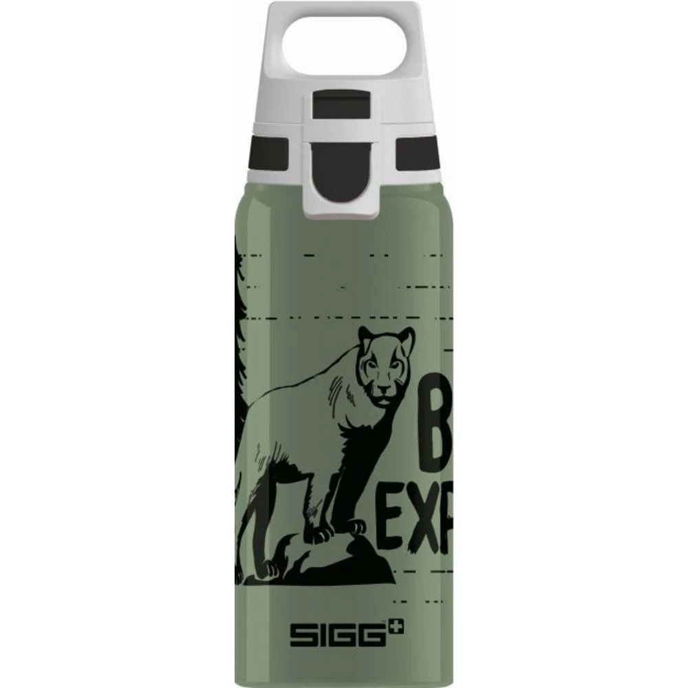 Vedes 9002.30 SIGG BRAVE MOUNTAIN boca za piće Alu0, slika
