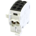 HoraeTec 080210-4-3 odvojna stezaljka za glavni vod  mjed, PA svijetlosiva (RAL 7035), intenzivna crna (RAL 9005) 1-polni  125 A  690 V Vrsta provodnika = L