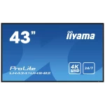 Iiyama ProLite LH4341UHS-B2 Digital Signage zaslon Energetska učinkovitost 2021: G (A - G) 108 cm 42.5 palac 3840 x 2160