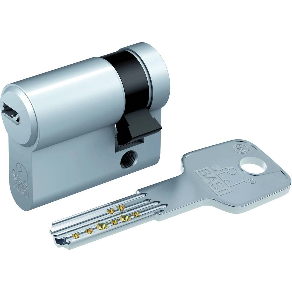 Cilindar profil BM5021-0030-0041 Veličina 10/60 mm slika