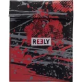 Reely LiPo sigurnosna torbica (D x Š) 300 mm x 235 mm slika