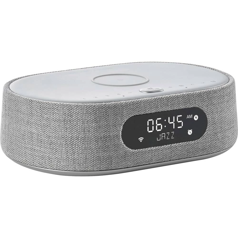 multiroom zvučnik Harman Kardon Oasis DAB+, Bluetooth, air-play AirPlay, google assistant izravno integriran, WLAN siva slika