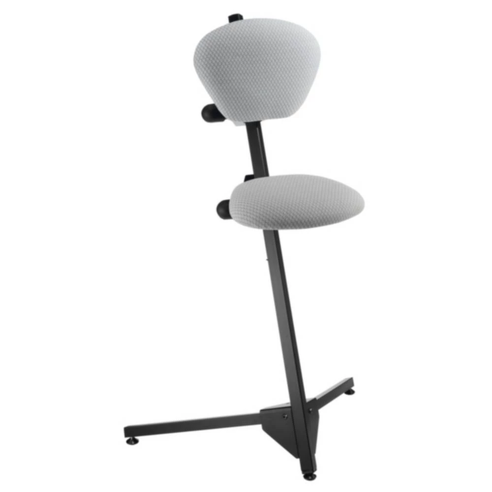 Kappes Pomoć za stajanje Čelik ErgoPlus 3000 8201.00.3115 slika