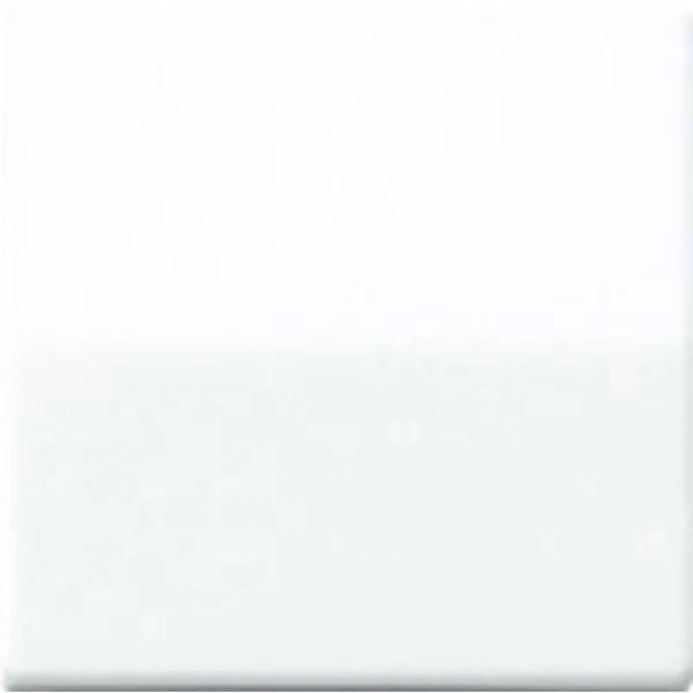 Jung 1-struki Poklopac Tipkalo Alpsko-bijela boja AS1561.07WW slika