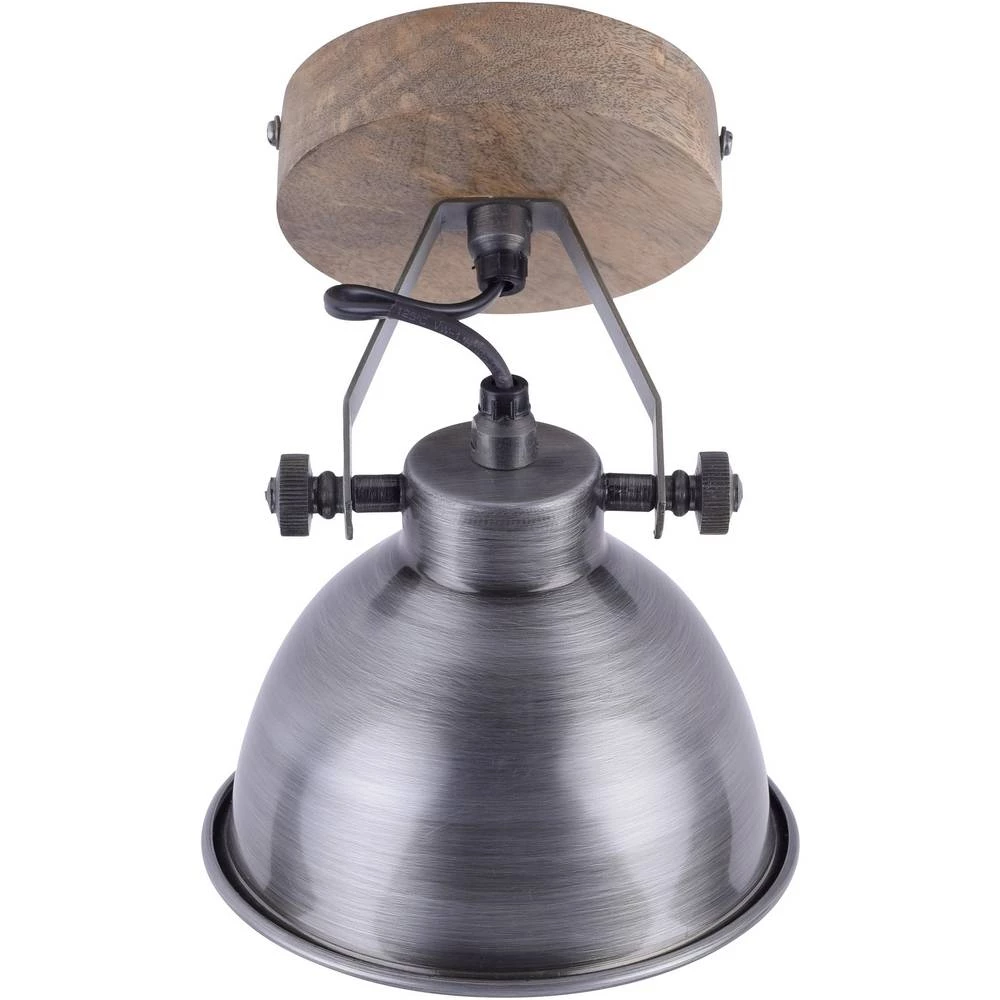 Zidna svjetiljka E14 LeuchtenDirekt SAMIA 11981-77 Željezna slika