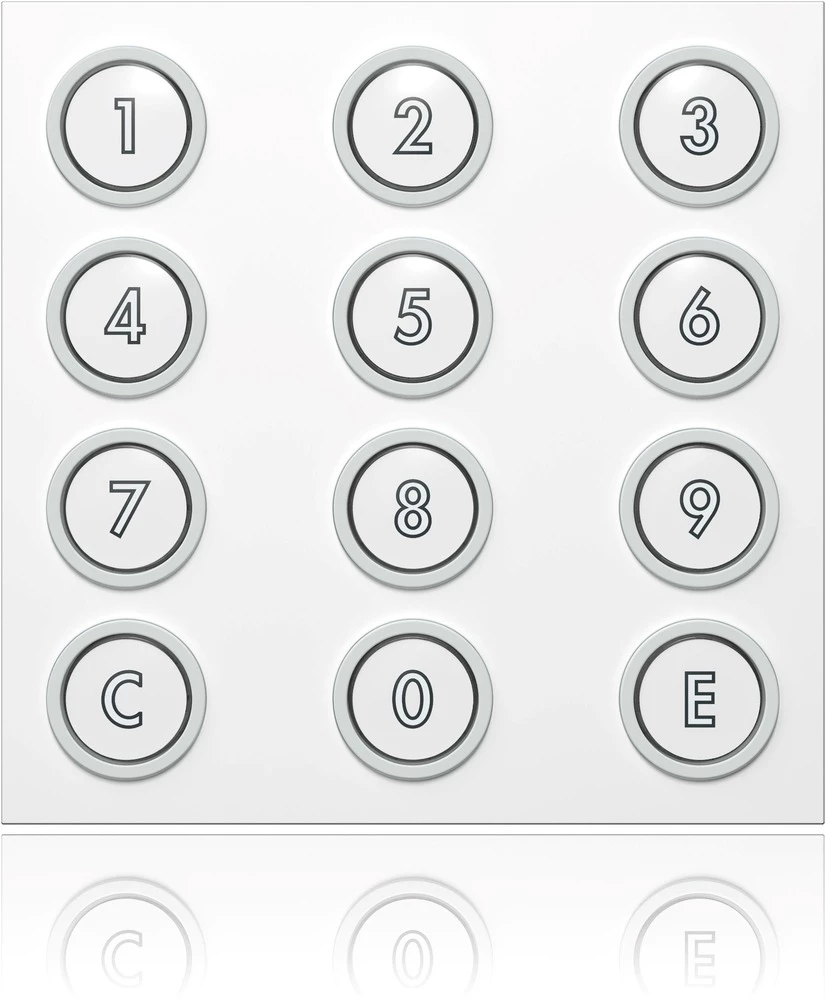 Ritto by Schneider 1876499 Video-portafon Ritto 1876499 Portirni modul kodiranja RAL izmjenjiva slika