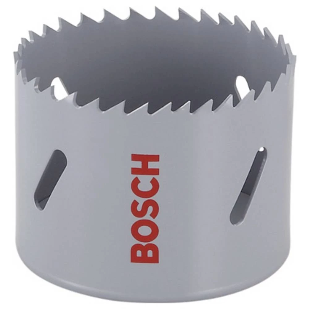 Bosch Accessories 2608580399 2608580399 krunska pila 19 mm 1 kom. slika