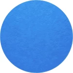 PFERD 42717580 mala brusilica za vlakna promjer 75 mm 50 St.